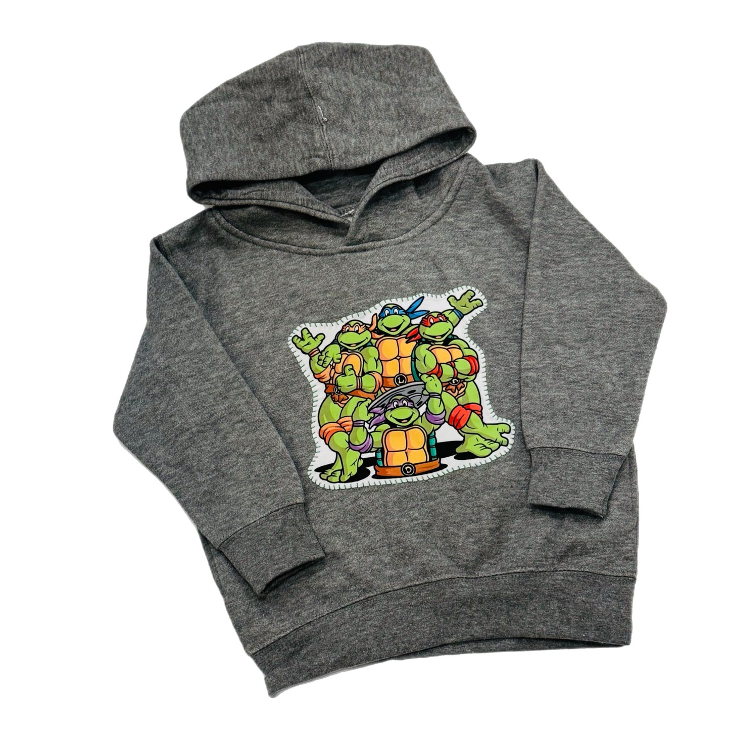 Turtles pullover hoodie