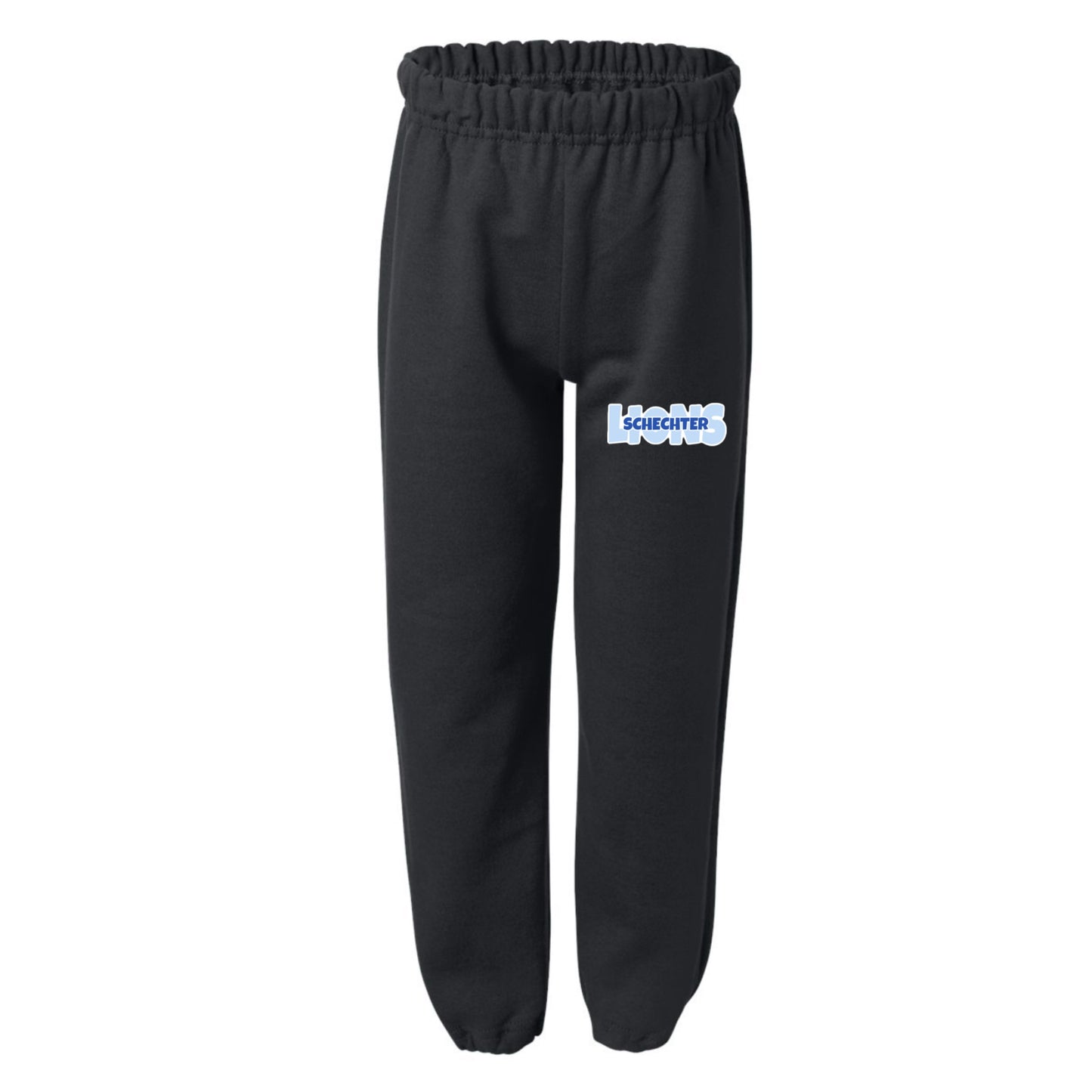 Schechter boys LIONS joggers