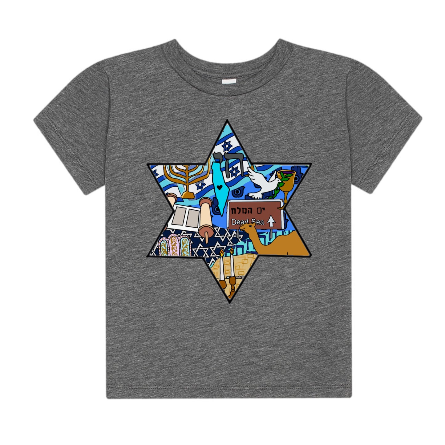 Israel tee (heather gray) womens