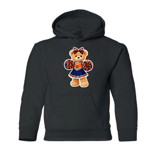 Illinois Cheerleading hoodie