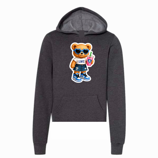 Lake of the Woods bear hoodie